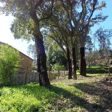 Oak Cottage Ferreira do Zezere Exterior photo